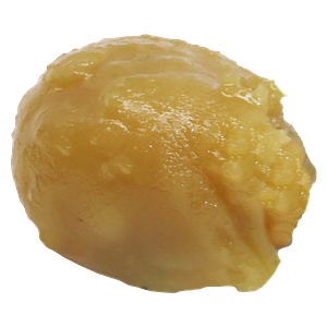 The Goo! - Brain Fruit Live Rosin