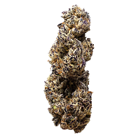 3rd Coast Genetics - Breeders Choice Max Cuts