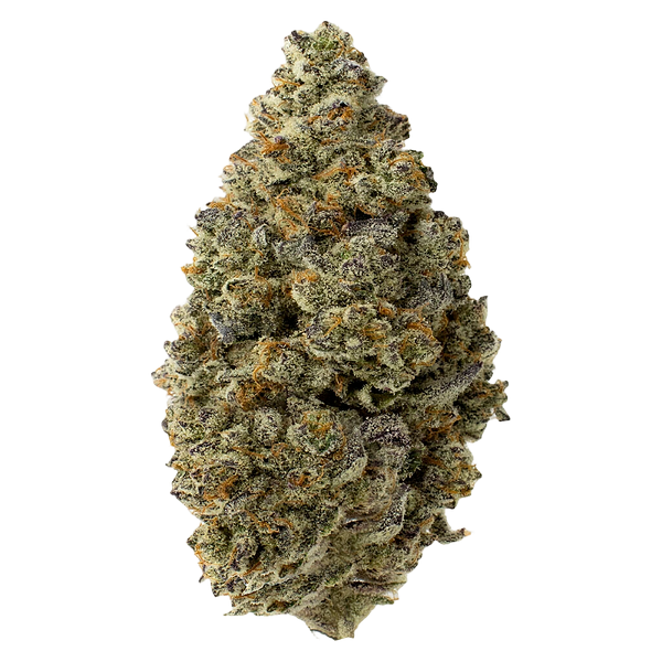 FOUR54 - Hawaiian Marker