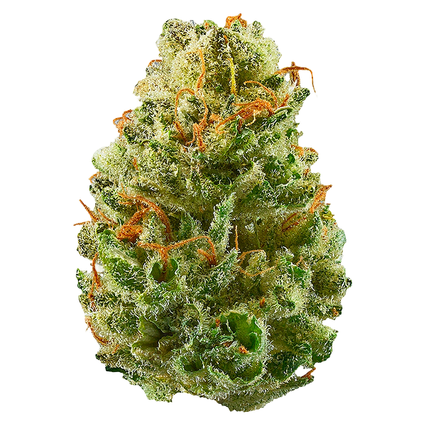 Potluck - Strawberry Cough