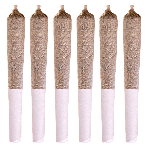 Station House - Coast to Coast Series Pre-Roll