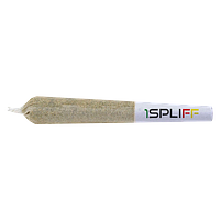 1Spliff Infused - White Lotus Infused Pre-Roll