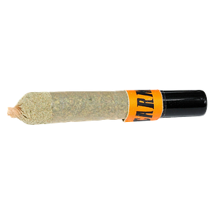 Carmel - Inside Joke Ceramic Tip Infused Pre-Roll