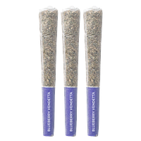Pistol and Paris - LSO Collection: Blueberry Vendetta Pre-Roll