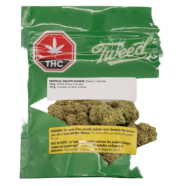 Tweed - Tropical Gelato Slushie