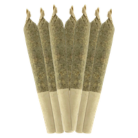 Sheeesh! - Bluefin Tuna Pre Roll