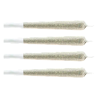 CHUB'S - Snack Pack - Sativa Pre-Roll