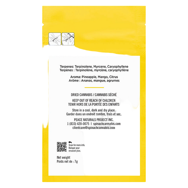 Spinach Grindz - Pineapple Gelato