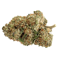 Pure Sunfarms - Pink Rhino