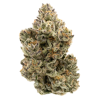 Northern Canna - Pineapple Bang