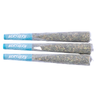Northern Canna - Pineapple Bang Pre-Roll
