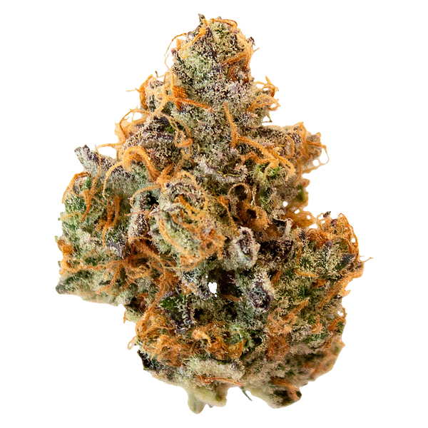 Pineapple Buds - Hawaiian Pineapple