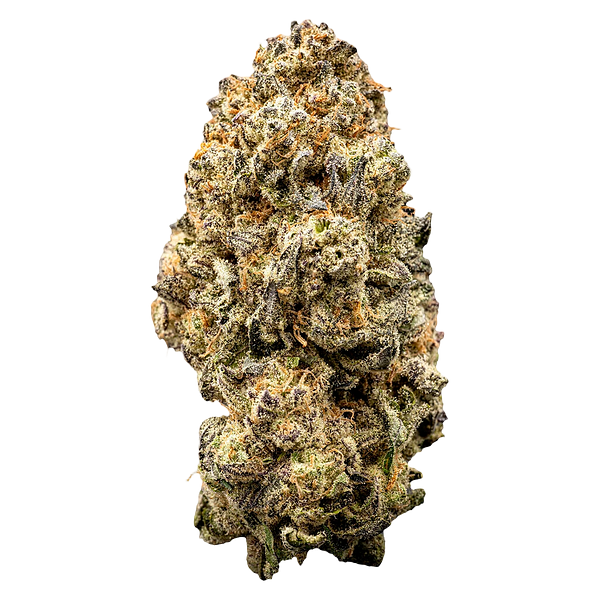 WAZA - Orange Slushie