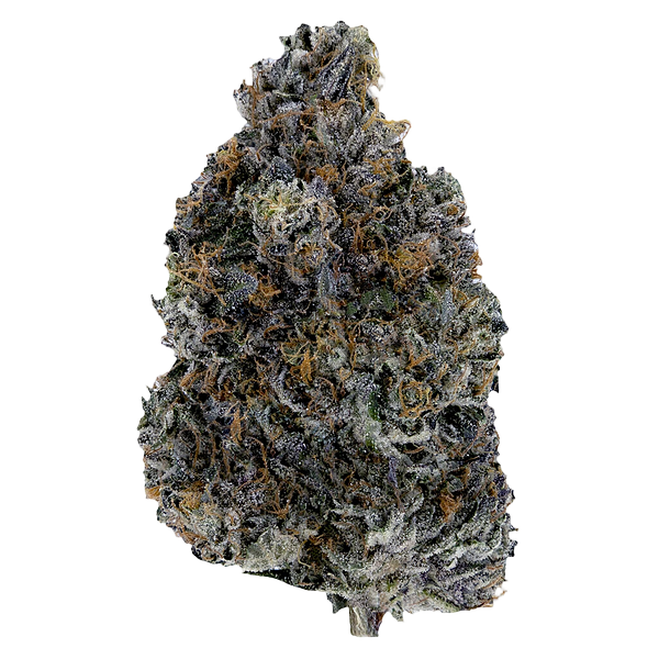 Woody Nelson - Dark Rainbow