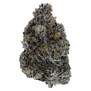 Woody Nelson - Dark Rainbow