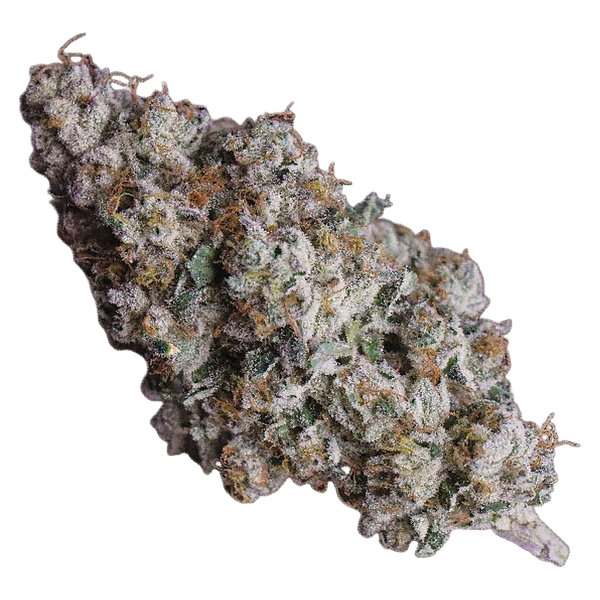 Frost Cannabis - '91 Royale