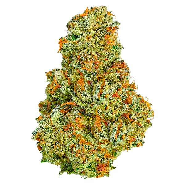 Coterie - Electric Daisy