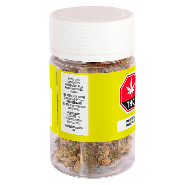 Tenzo - 97 Octane Smallz