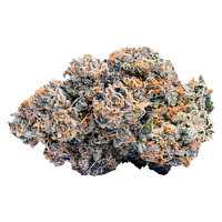 BLK MKT - Devil's Driver