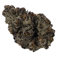 Frost Cannabis - Candy Bones