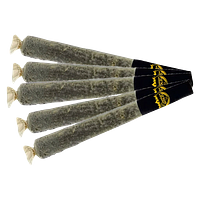 Caviar Gold - BABY CAVIS APPLE DRIP Infused Pre-Roll