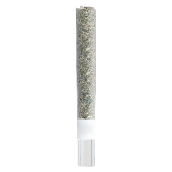 Be Humble. - Rosin Roll Glass Tip Infused Pre-Roll