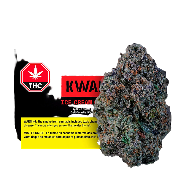 KWALL - Ice Cream Cake #4