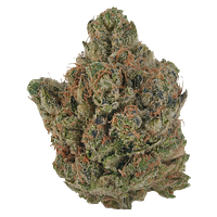 VOLO - Orange Turpentine