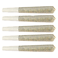 Castle Rock Farms - Glazed Apricot Gelato Pre-Rolls