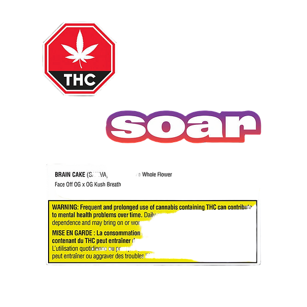 Soar - Brain Cake