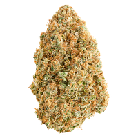 Broken Coast - Blue Dream