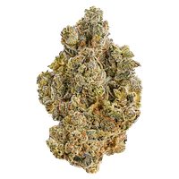 Broken Coast - La Bomba