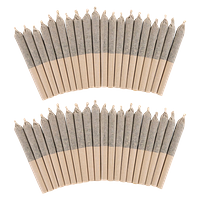Pure Laine - Big Pleasures Classic 40 Pre Roll