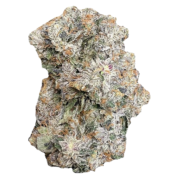 Space Bros - 6ix Pink