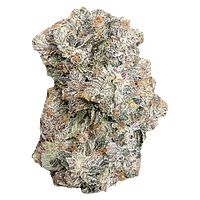 Space Bros - 6ix Pink