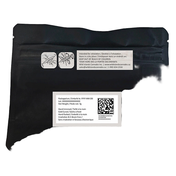 Space Bros - 6ix Pink