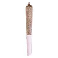 Station House - Sensi Star Pre Roll