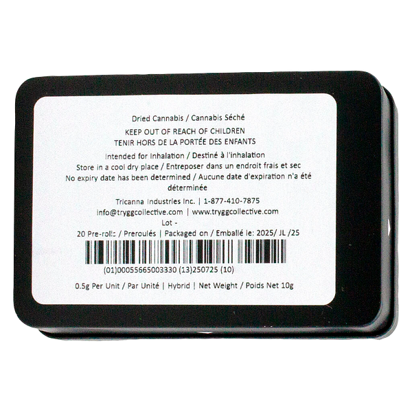 TRYGG - Block Party Pre Roll