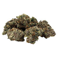 G.O.A.T - Night Shift