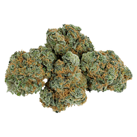 Little Leaf - Stratford's Craft Flower Experience