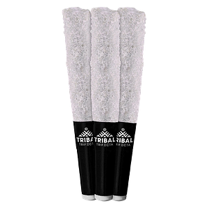Tribal - Porto Leche Trifecta Infused Pre-Roll