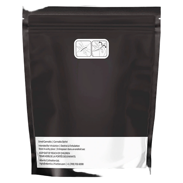 Queen of the Underground - Candy Apple