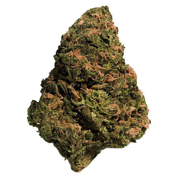 Big Steal - BC Organic Sungrown Bonkers