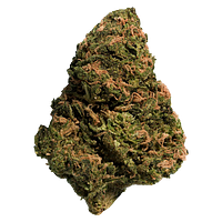 Big Steal - BC Organic Sungrown Bonkers