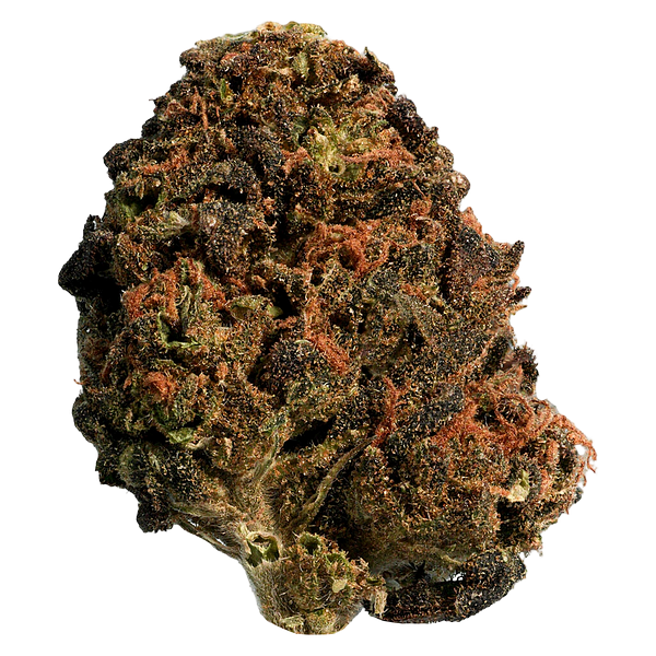 Big Steal - BC Organic Sungrown Mango Sapphire