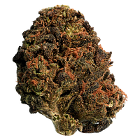 Big Steal - BC Organic Sungrown Mango Sapphire