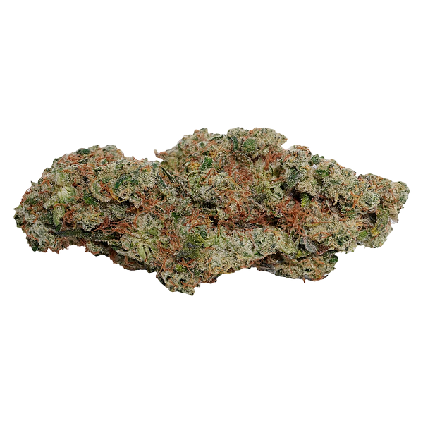 Always Toasted - OG Dutch Dragon