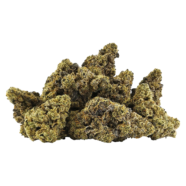 BC 1/2 OZ - OG1 Kenobi