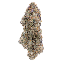 Northern Canna - True Mints