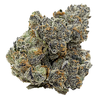 Pistol and Paris - Pink Death